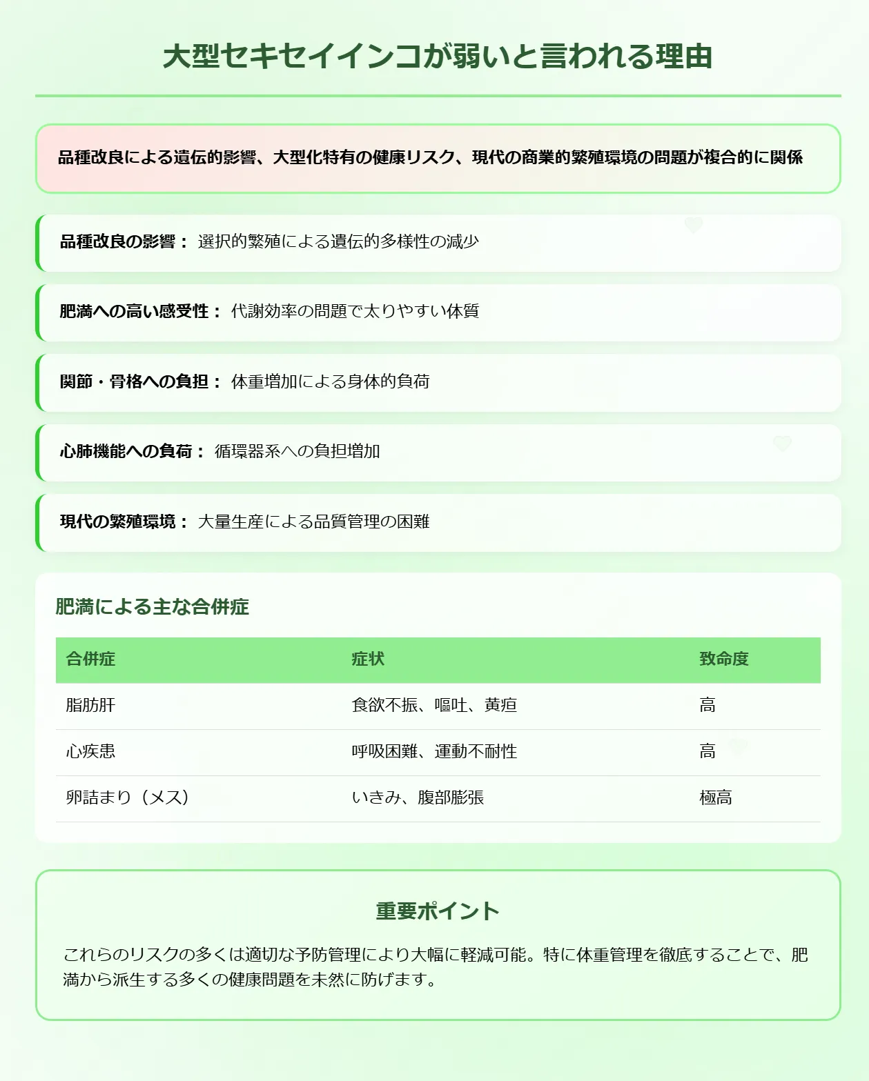 大型セキセイインコが弱いと言われる理由