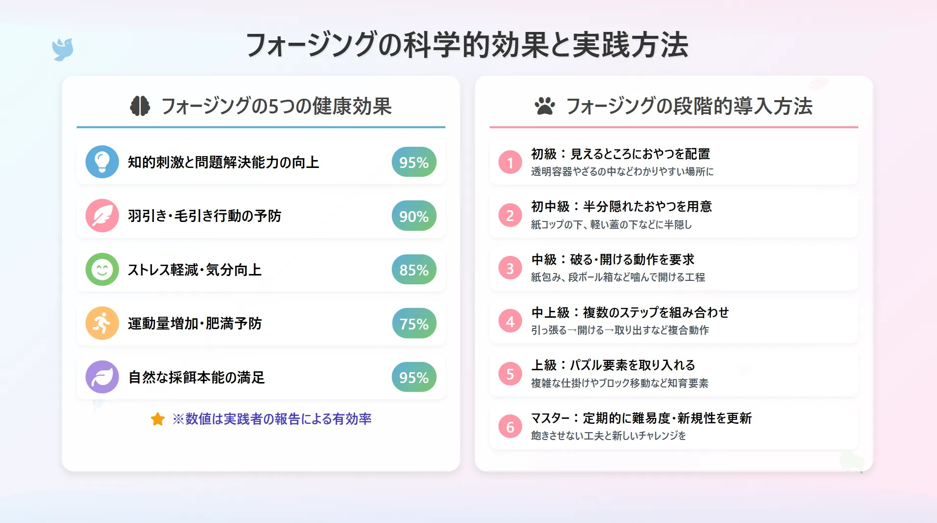 フォージングの科学的効果と実践方法
