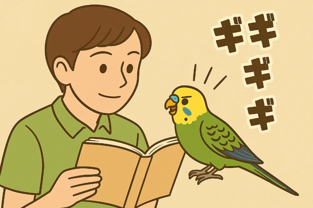 飼い主との活発な音声コミュニケーションを楽しむ黄色と緑色のセキセイインコ