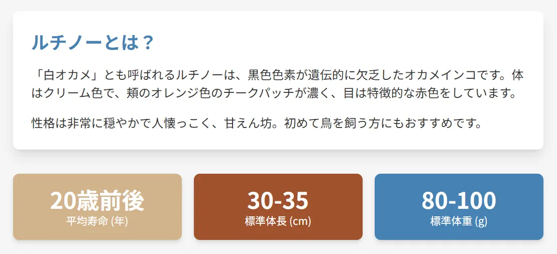 オカメインコルチノーとは？
