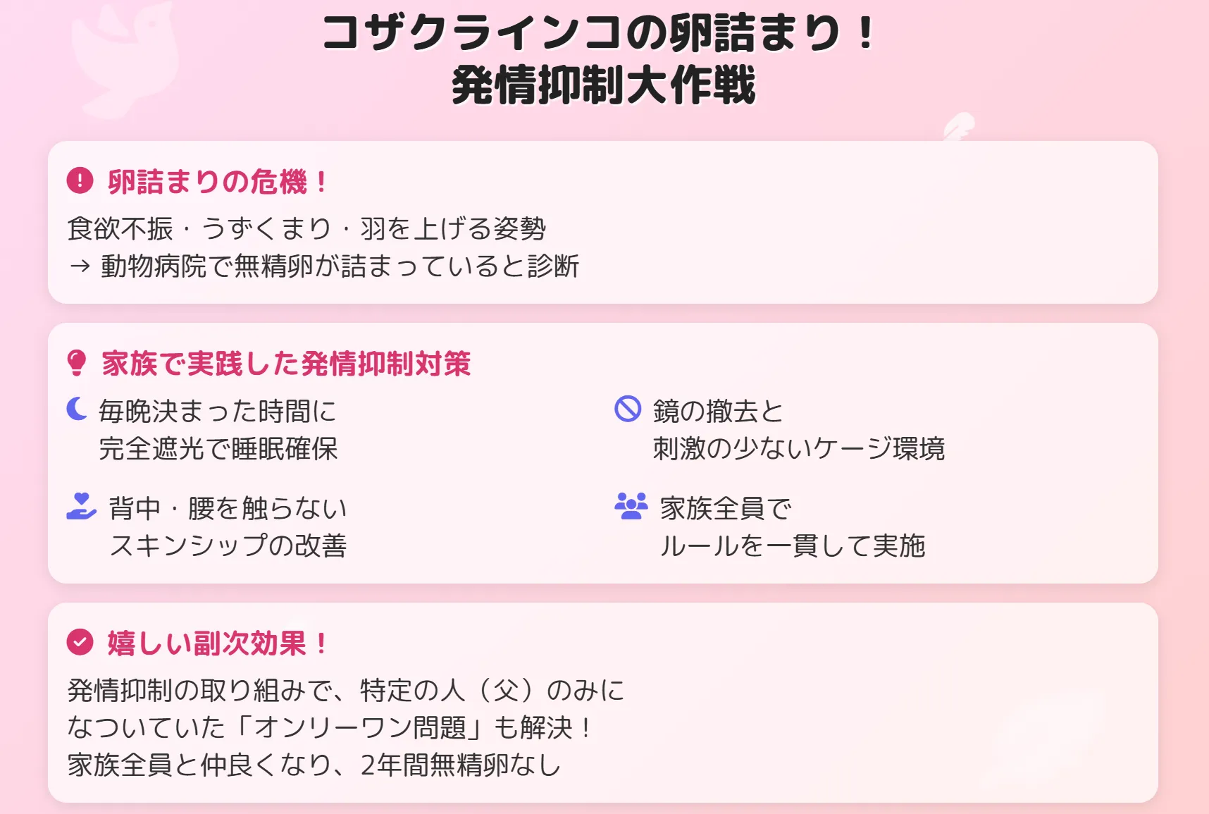 コザクラインコの卵詰まり！発情抑制大作戦