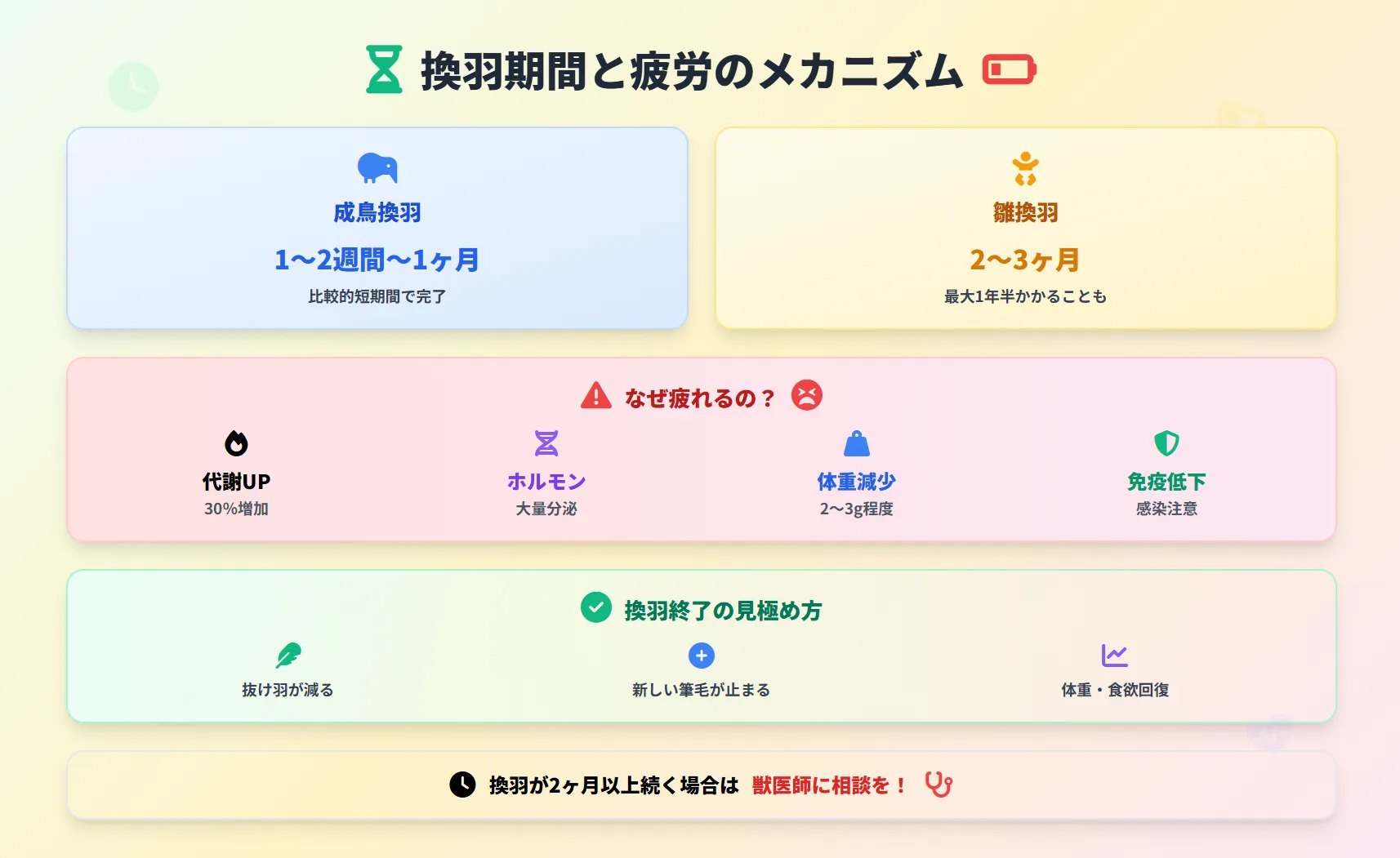 オカメインコの換羽期間と疲労のメカニズム