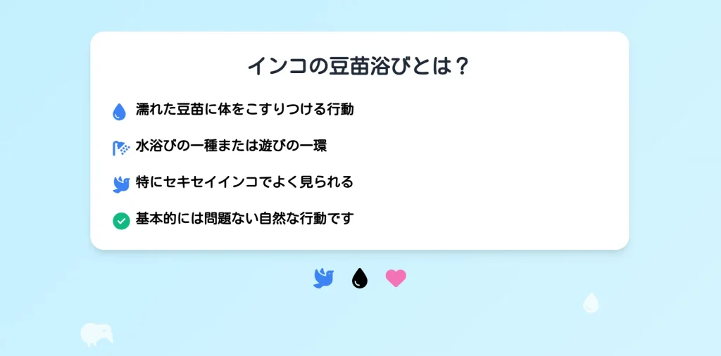 インコの豆苗浴びとは？