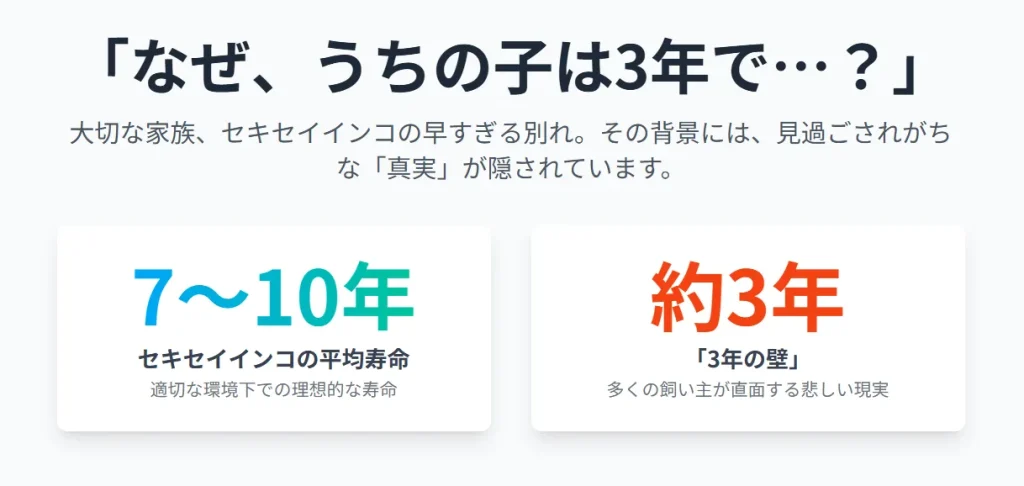 なぜ、うちの子は3年で？