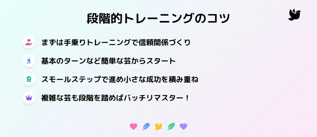 オカメインコの段階的クリッカートレーニングのコツ