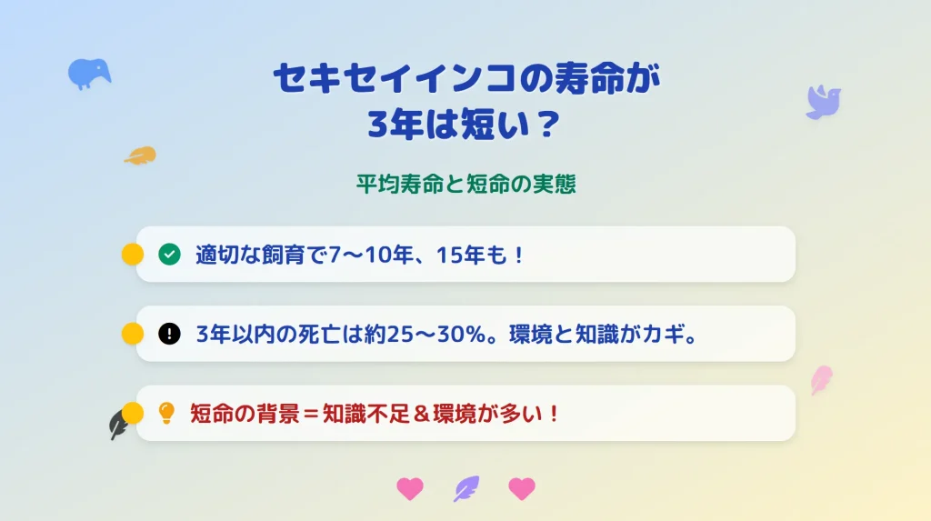 セキセイインコの寿命が3年は短い？平均寿命と短命の実態
