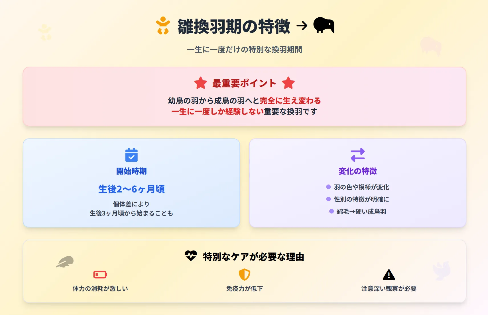 オカメインコの雛換羽期の特徴