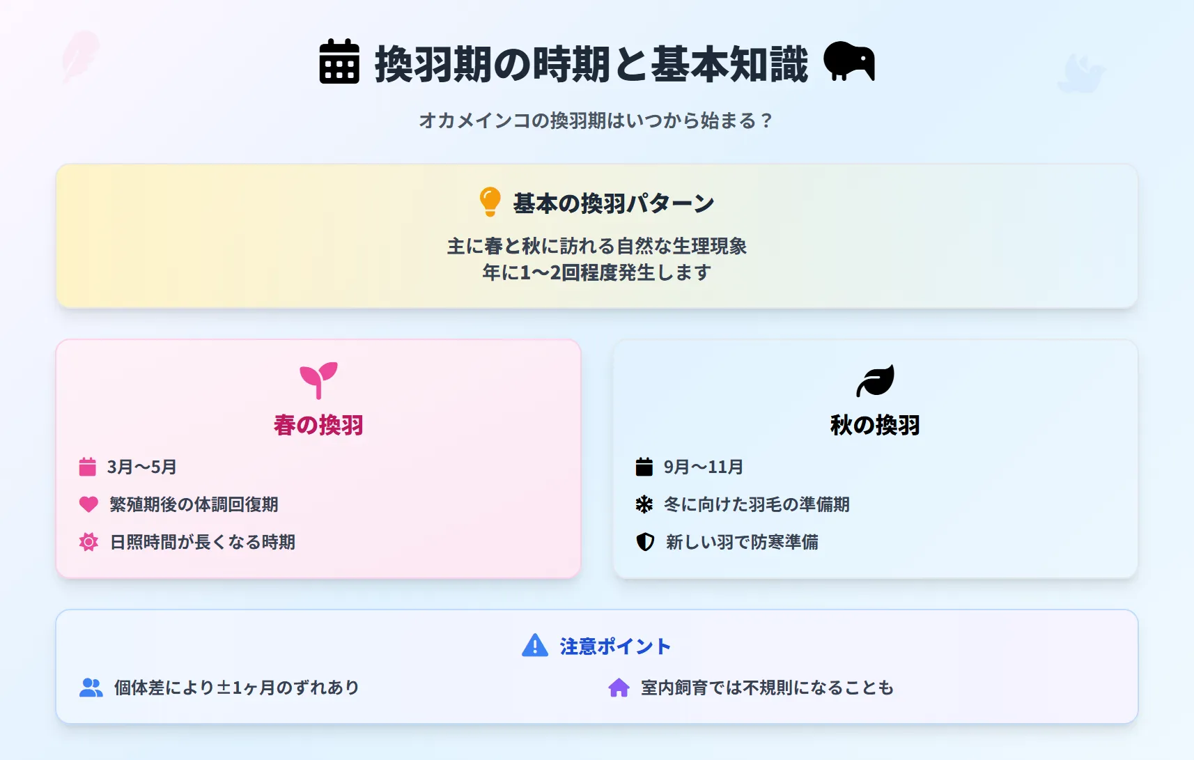 オカメインコの換羽期の時期と基本知識