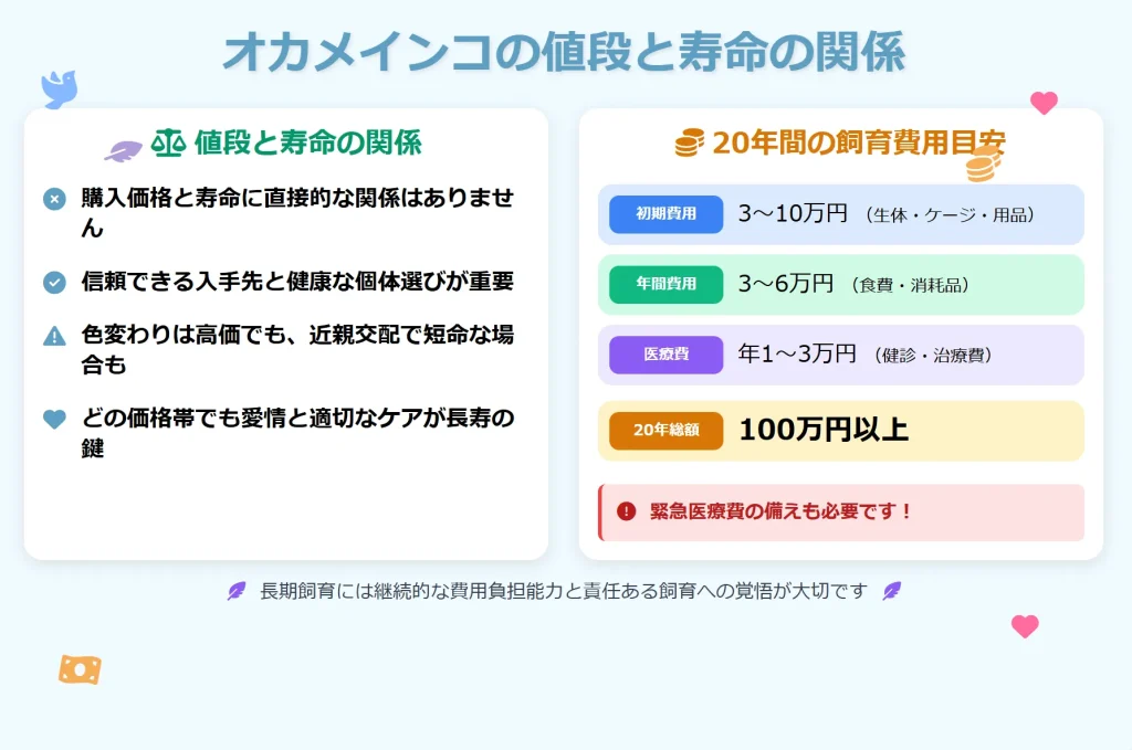 オカメインコの値段と寿命の関係