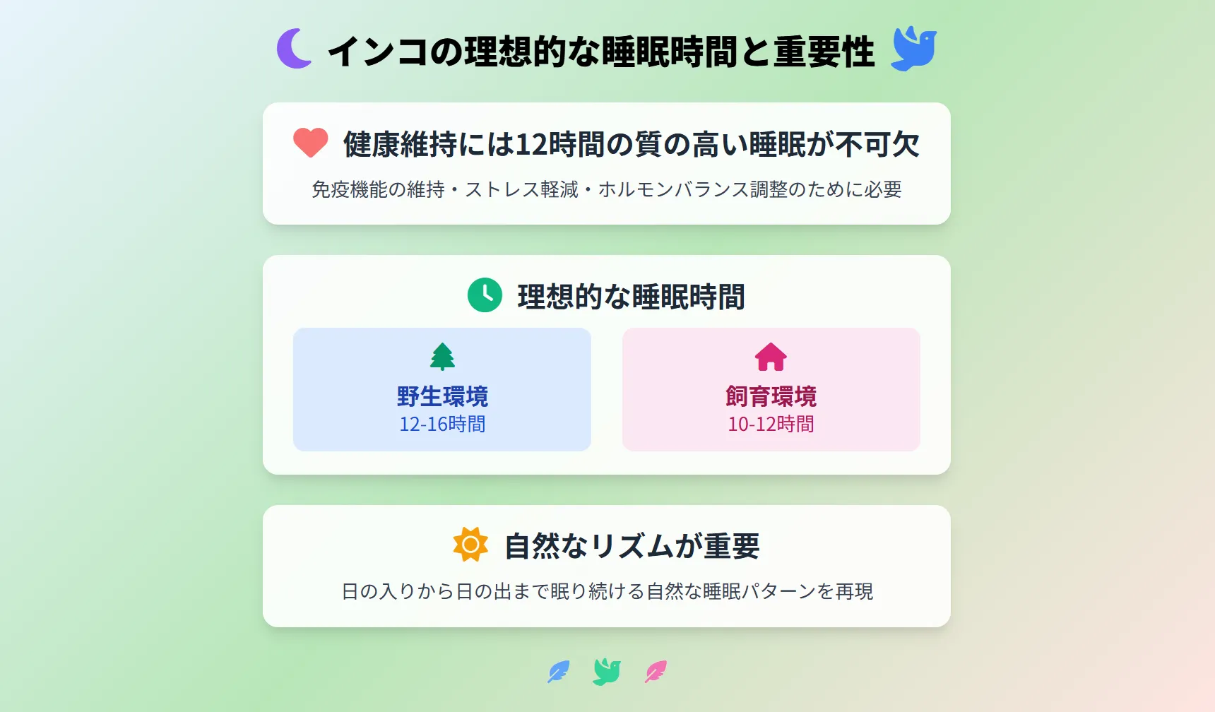 インコの理想的な睡眠時間と重要性