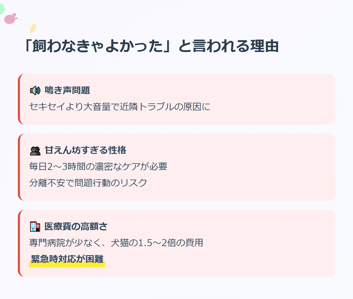 オカメインコを買わなきゃよかった！と言われる理由