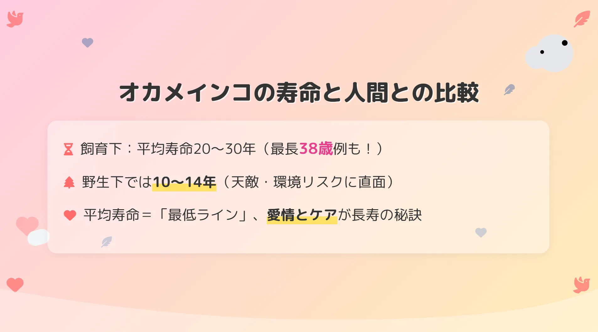 オカメインコの寿命と人間との比較