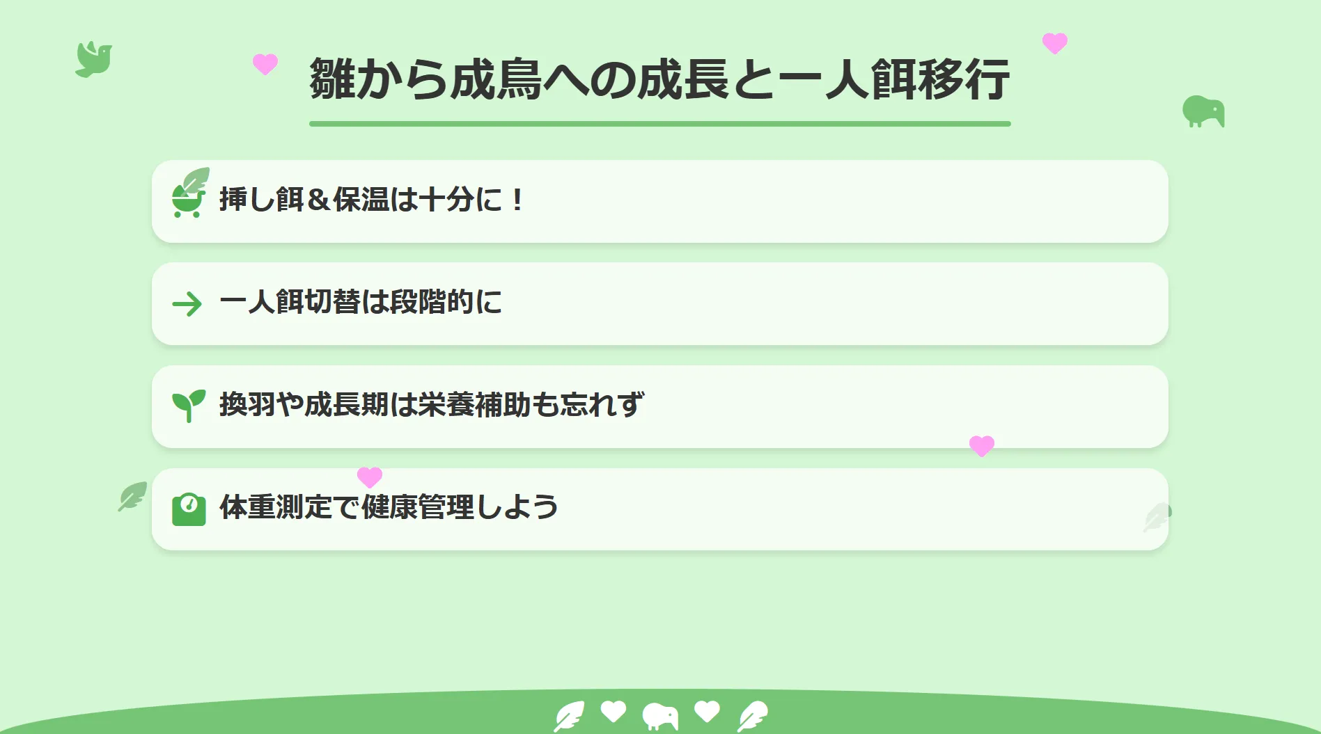 雛から成鳥への成長と一人餌移行