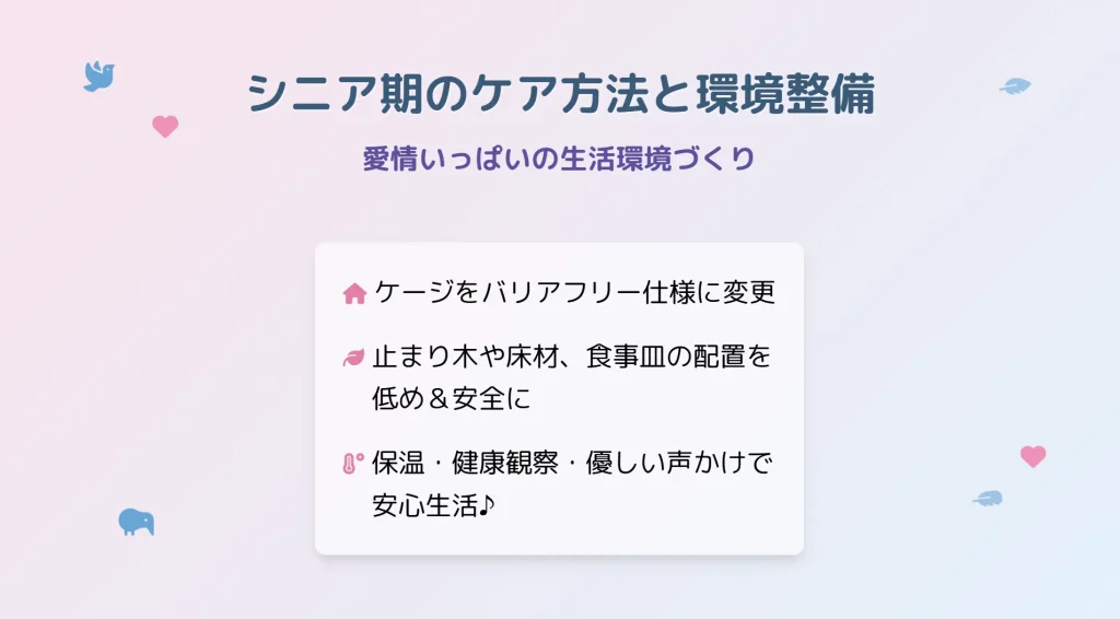 シニア期のケア方法と環境準備