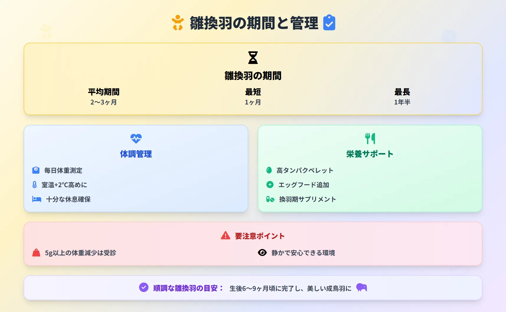 オカメインコの雛換羽の期間と管理