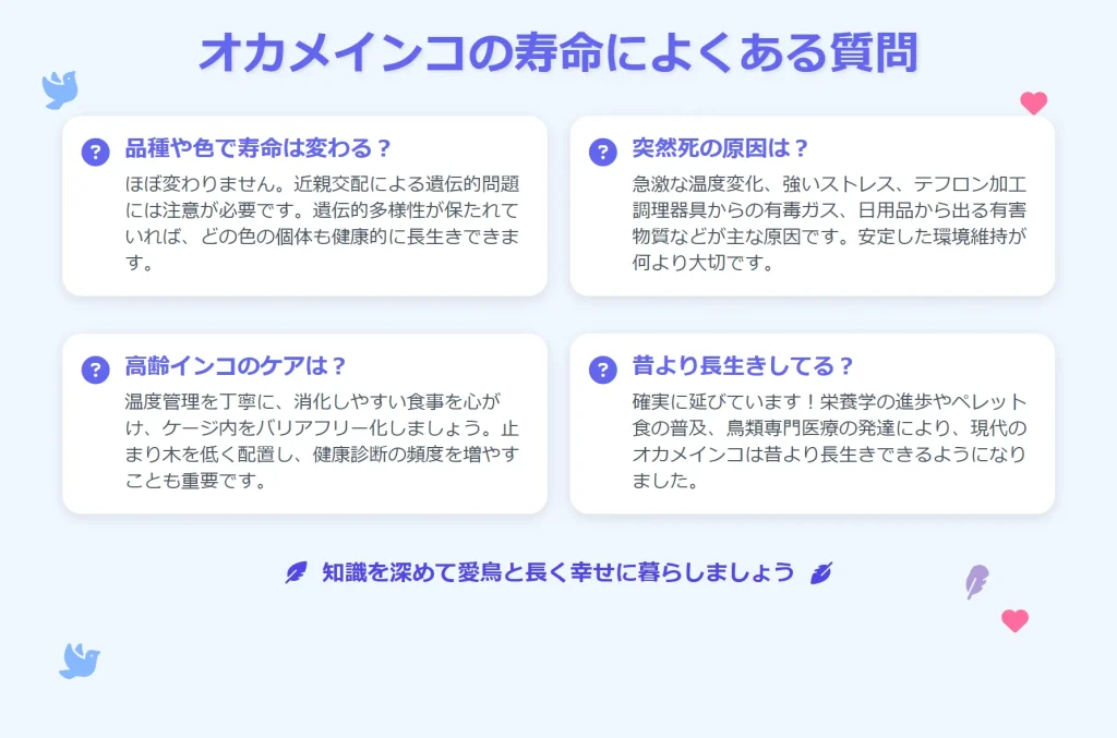 オカメインコの寿命によくある質問