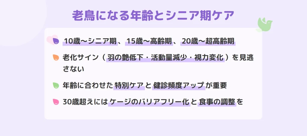 老鳥になる年齢とシニア期ケア