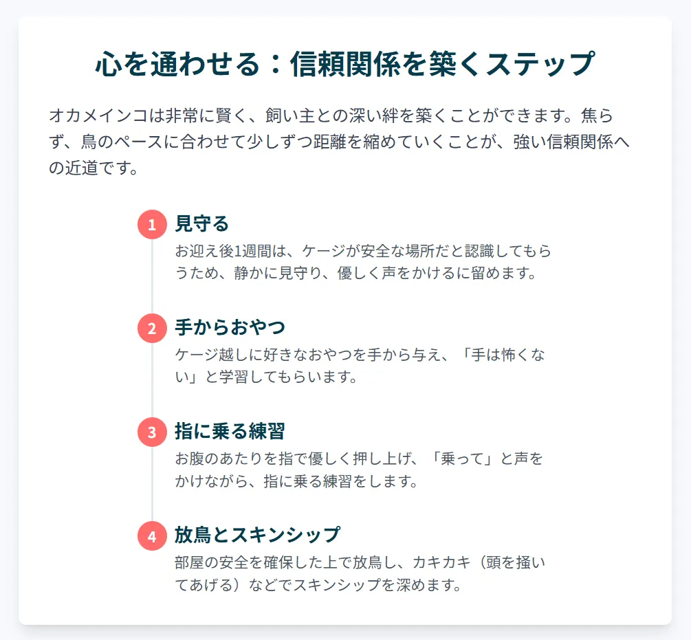オカメインコルチノーと心を通わせる！信頼関係を築くステップ