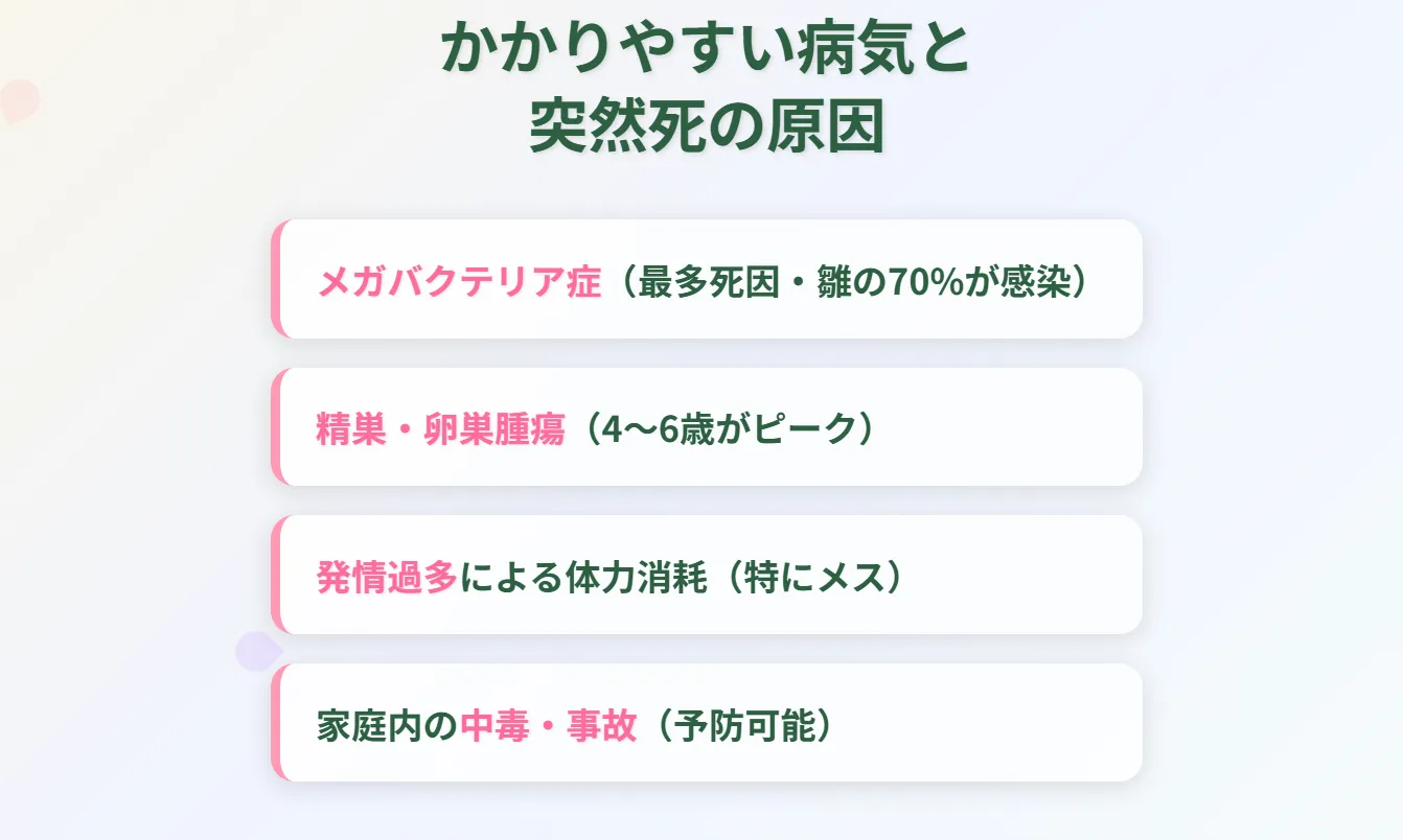 かかりやすい病気と突然死の原因