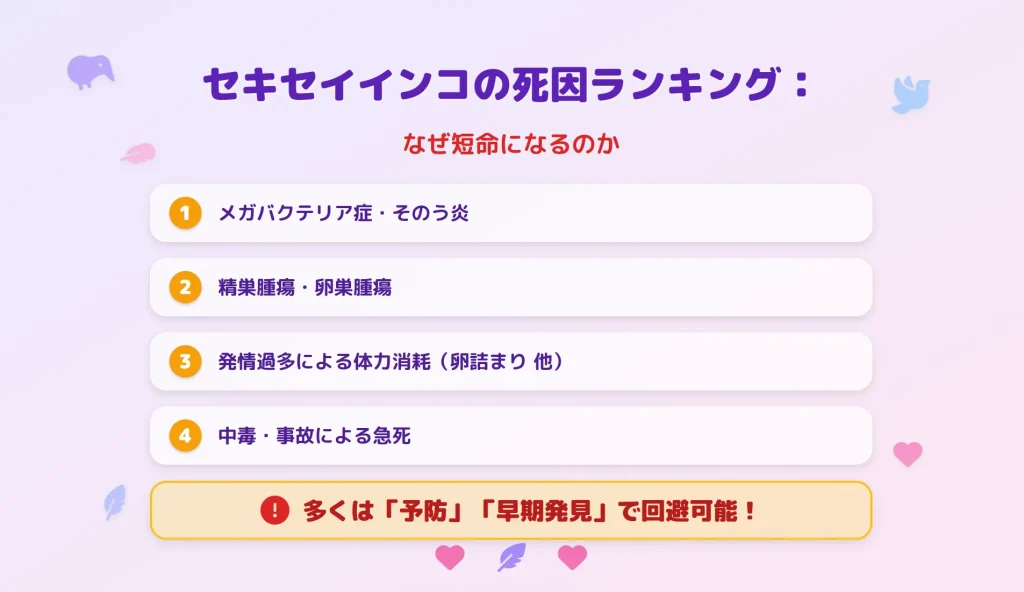 セキセイインコの死因ランキング！なぜ短命になるのか