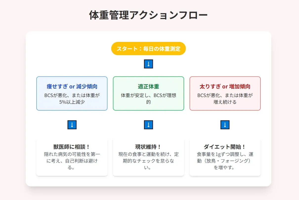飼い主がオカメインコの胸に聴診器を当て、心音を確認して健康状態をチェックしている様子。