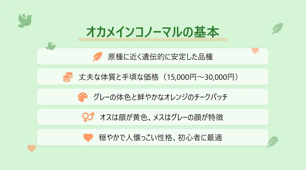 オカメインコノーマルの基本情報を示すインフォグラフィック。初心者に最適な理由として、その丈夫な体質と穏やかな性格を解説。