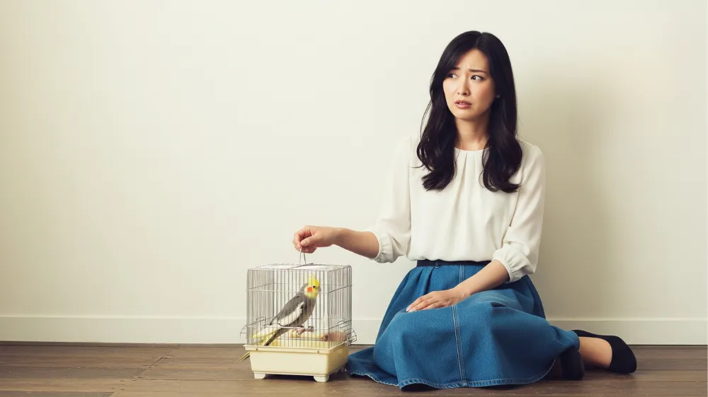 「オカメインコを飼わなきゃよかった」と悩む飼い主からのよくある質問に答えるオカメインコのイラスト
