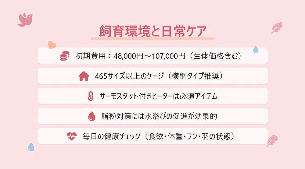 オカメインコノーマルの理想的な飼育環境のインフォグラフィック。適切なケージ、止まり木、おもちゃのレイアウトを紹介。