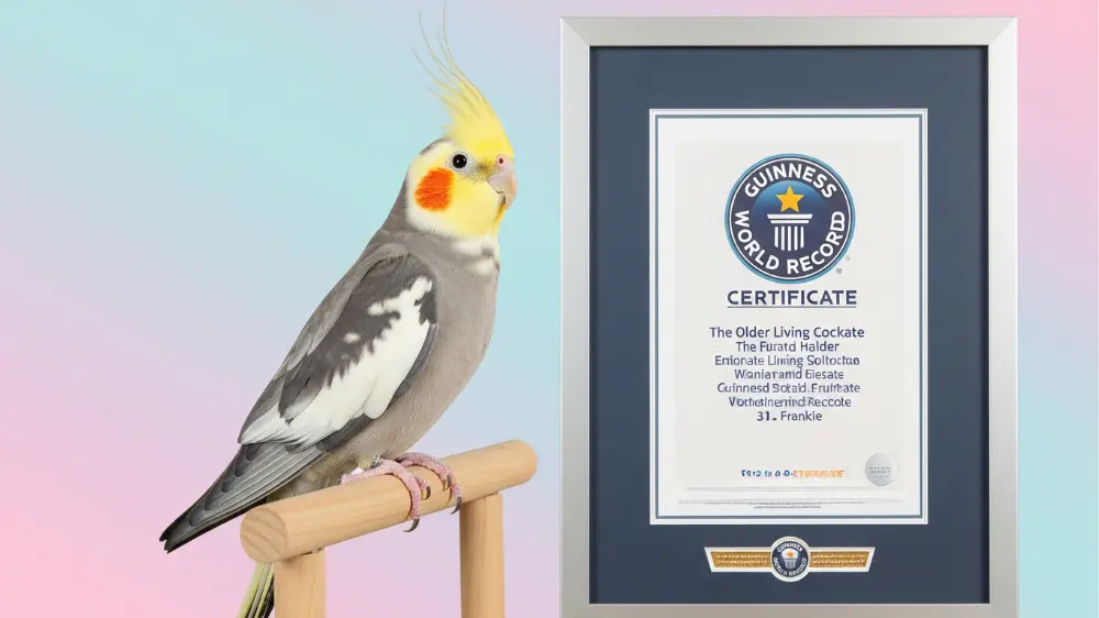 飼い主の指を優しく握る高齢のオカメインコの足。長い信頼関係を象徴している。