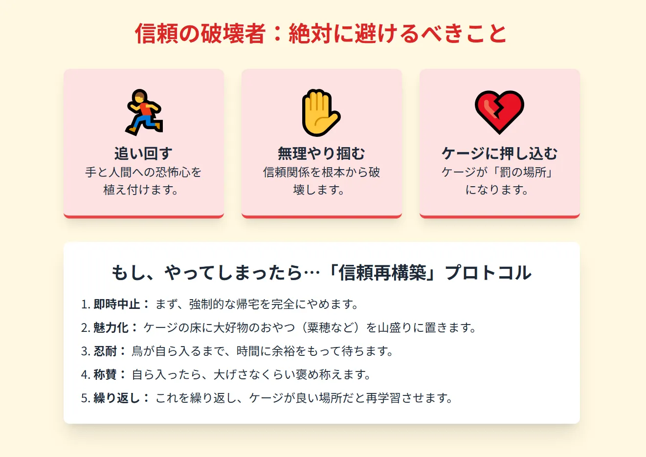 優しく接してオカメインコとの信頼関係を修復する様子