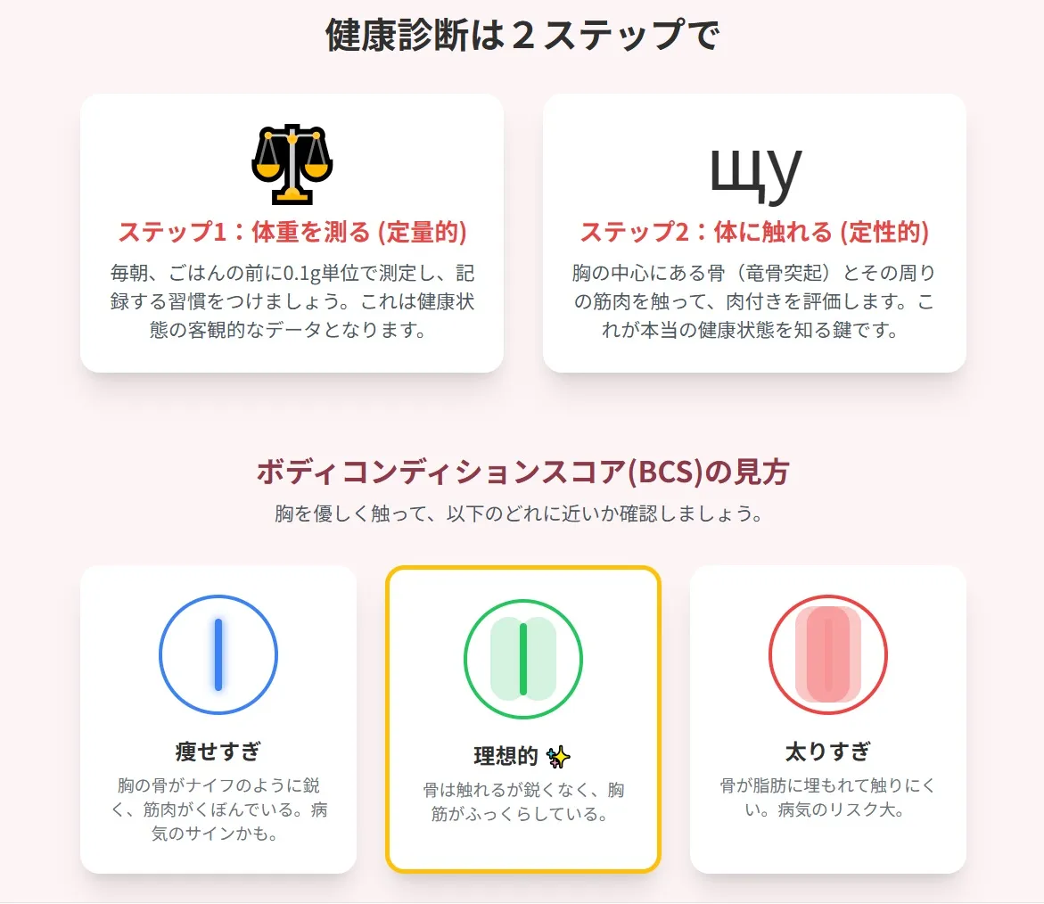 オカメインコの胸にある竜骨突起の触り方で「痩せすぎ」「理想」「太りすぎ」を見分ける体格チェック方法のイラスト解説。