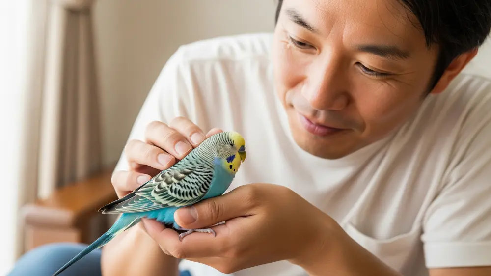 飼い主に優しく撫でられて「キュイキュイ」と気持ちよさそうに鳴くセキセイインコ