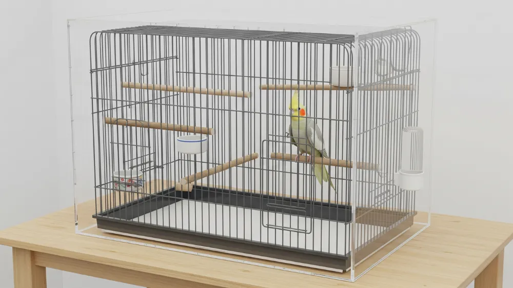 オカメインコ複数羽飼育時のケージサイズ基準。2羽なら最低80×60×60cm、3羽なら100×70×70cm以上が必要で、単羽用ケージの1.5〜2倍の広さが理想的な多頭飼育環境。