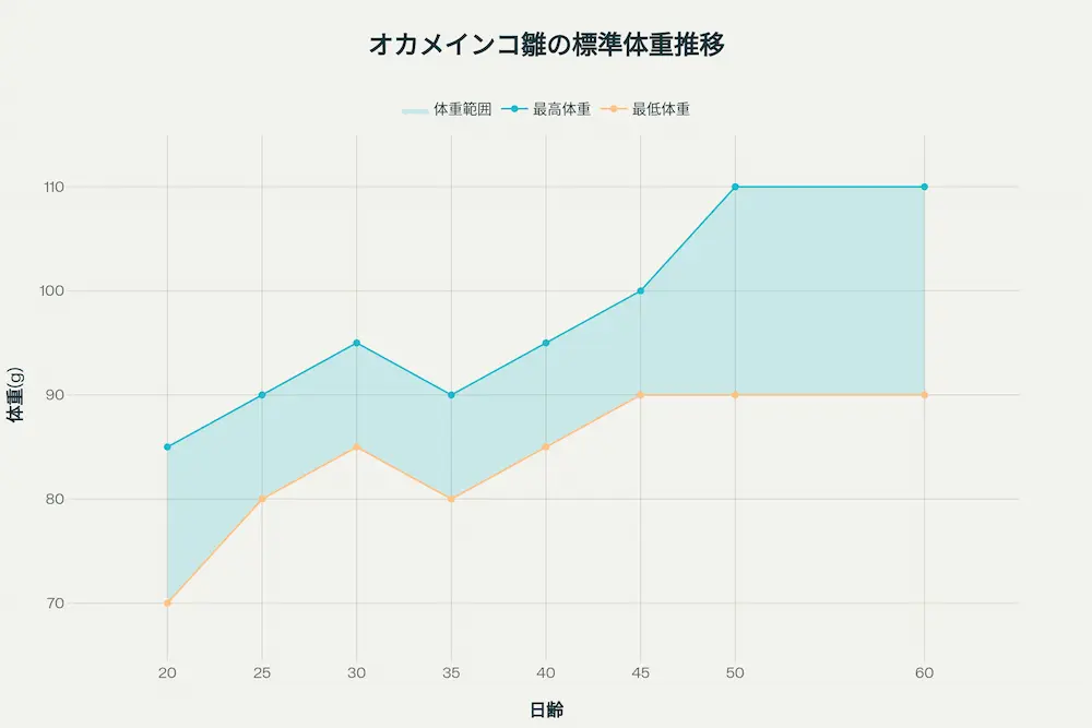 飼い主が0.1g単位で測れるデジタルスケールを使い、プラケースに入れたオカメインコの雛の体重を測定している様子