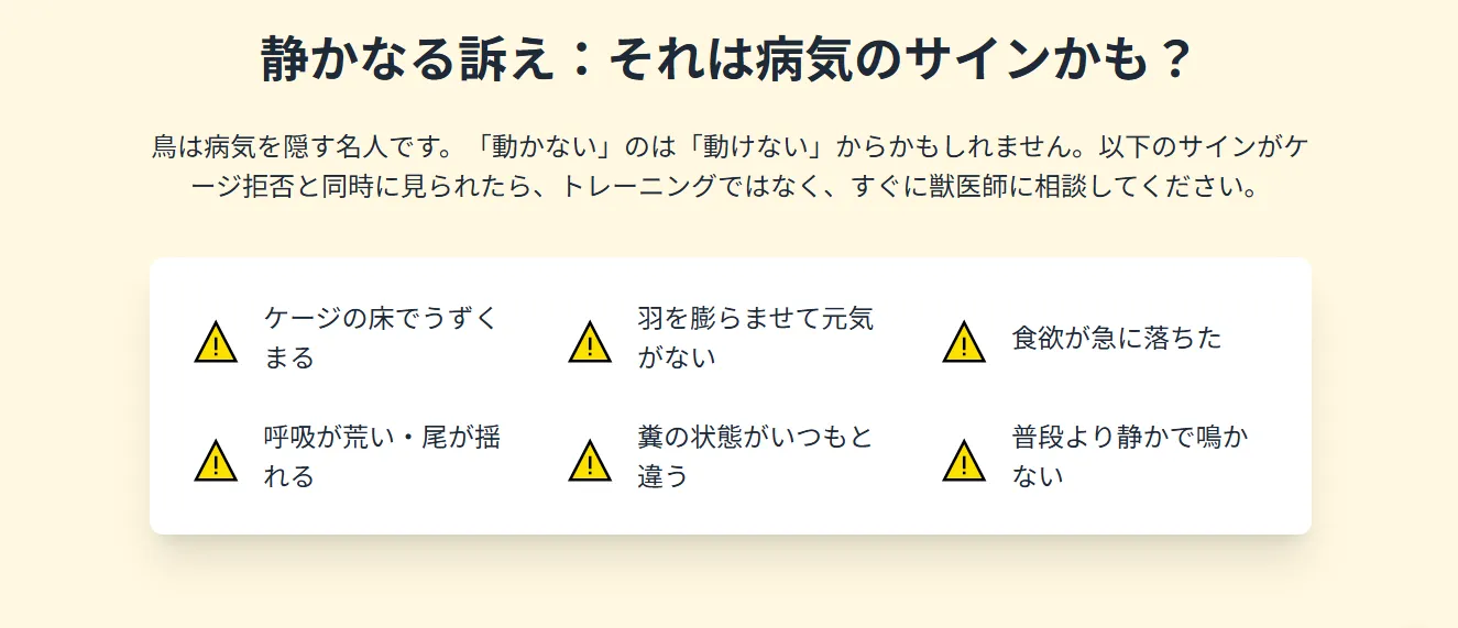 夜、ケージに戻らないオカメインコの緊急対応