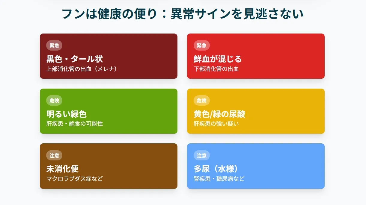 ケージの床紙に落ちたオカメインコのフン。色や形から健康状態をチェックしている。