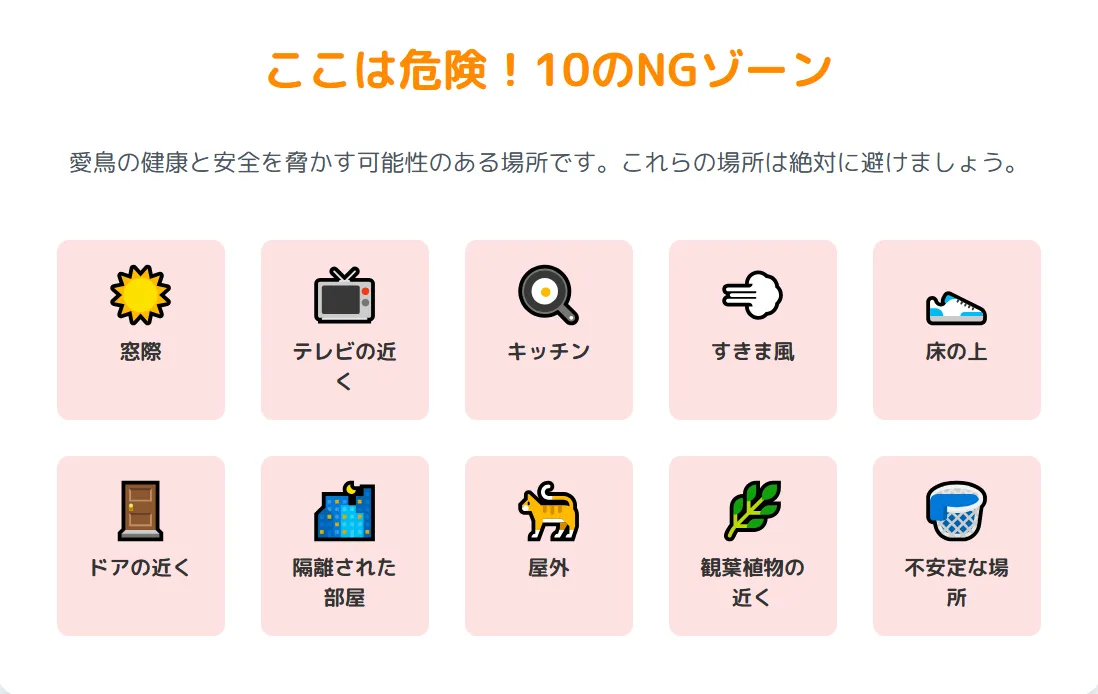 直射日光が当たる窓際に置かれ、ストレスで羽を膨らませるオカメインコ