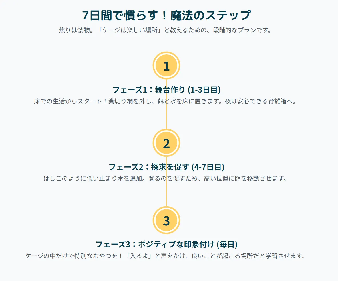段階的なケージ慣らしを受けているオカメインコの雛とケージの設置準備