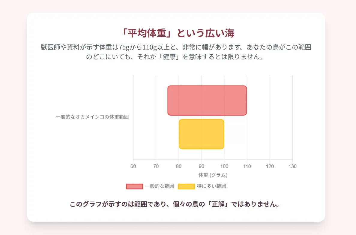 キッチンスケールで体重測定される、おとなしい性格のノーマルオカメインコ。