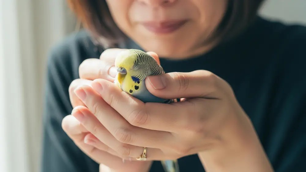 飼い主の手に優しく包まれ、穏やかに目を閉じているセキセイインコ。感謝と愛情が伝わる看取りのイメージ。
