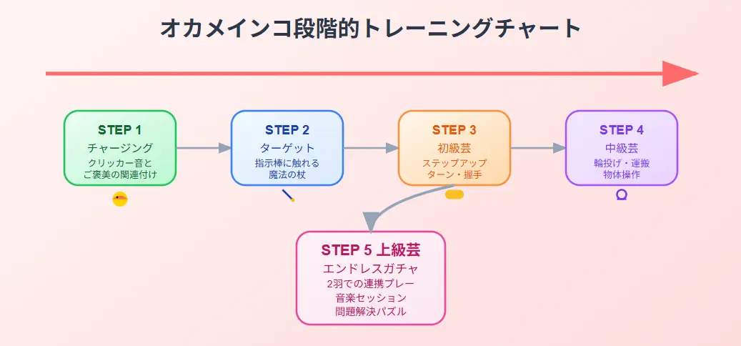 「チャージング→ターゲット→シェイピング」の段階を示すトレーニングチャートとオカメインコ