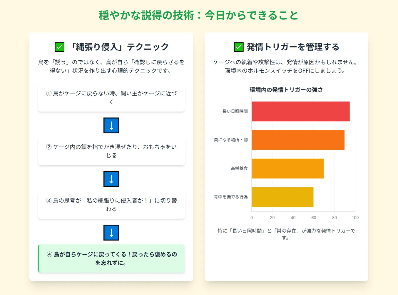 飼い主と信頼関係を築きながらトレーニングするオカメインコ