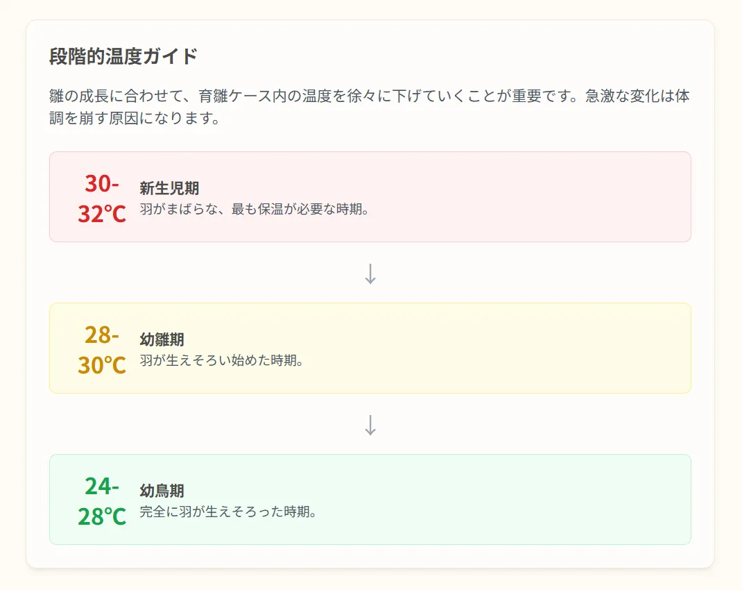 生後2週から8週までの雛の成長段階に合わせた最適な飼育ケースの温度設定を示したグラフ。