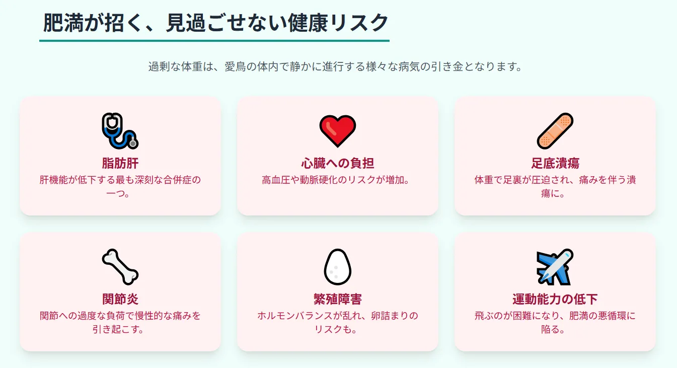 動物病院で獣医師の診察を受けるオカメインコ。病気が原因の体重増加を診断している場面。