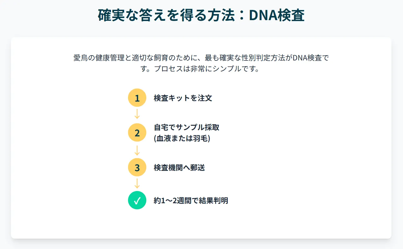 DNA検査の精度99.9%を示すインフォグラフィック。外見での判定が困難なルチノーには最適な方法であることを強調。