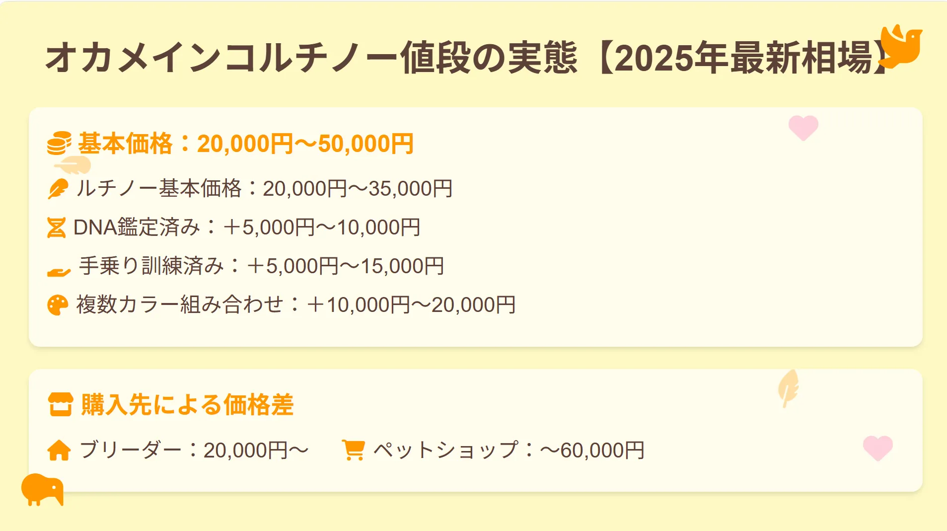 オカメインコルチノーの値段相場を示すインフォグラフィック。ブリーダー直販が2万円から、ペットショップでは最大6万円になることを図解。