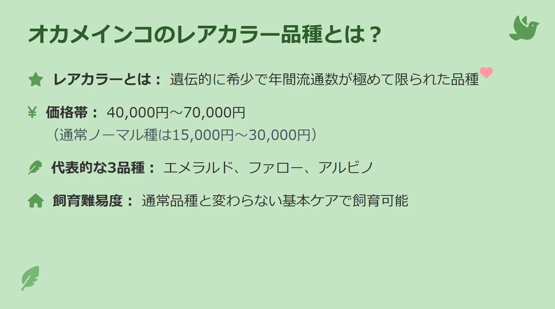 オカメインコのレアカラー3品種(エメラルド、ファロー、アルビノ)のインフォグラフィック。価格は4万円から7万円が相場。