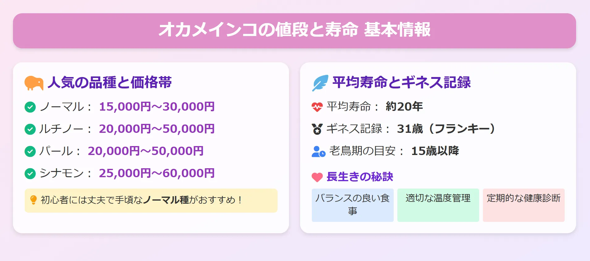 値段と寿命の基本情報を象徴するオカメインコと電卓のイラスト