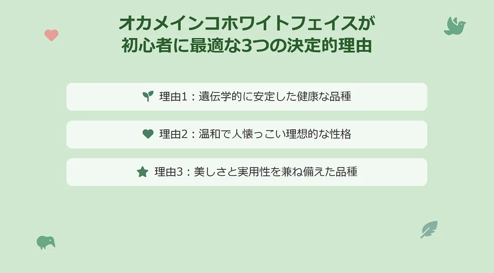 オカメインコホワイトフェイスの美しい白い顔のアップ。初心者に最適な理由の一つである上品な見た目を示す。