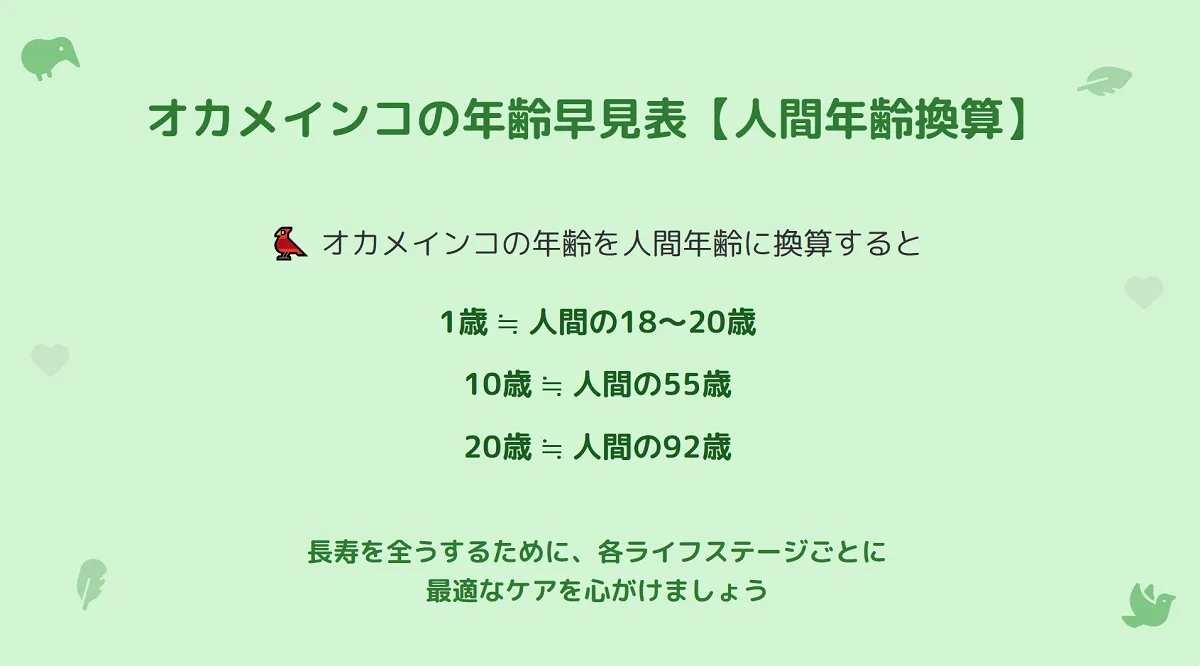 様々なライフステージのオカメインコが並び、年齢と人間年齢の換算を示すイラスト